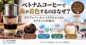 コーヒーに含まれるポリフェノールなどの成分と、このペリクルを構成する唾液タンパク質との相互作用が、歯の着色に関係していると考えられています